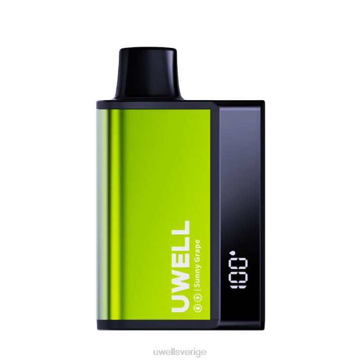 UWELL DL8000 engångsvape ananas mynta RT0H284 UWELL Vape Flavours